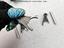 Immagine 10