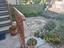Immagine 27