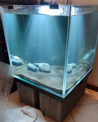 Acquario Cubo 50x50x50h