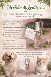 Prodotti naturali di Lentisco - 100ml