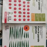 Con le parole giuste Grammatica