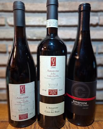 Vino Pregiato Amarone 