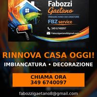 FBZ service imbiancature