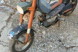 motorino omer