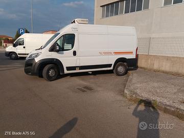 Furgone Fiat Ducato isotermico