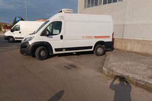 Furgone Fiat Ducato isotermico