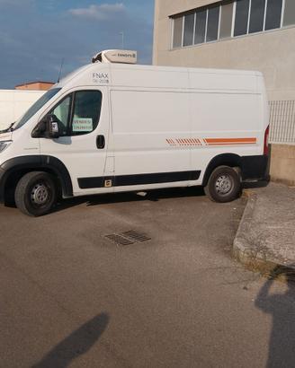 Furgone Fiat Ducato isotermico