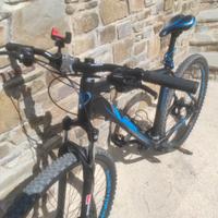 Mountain bike Lombardo Sestriere 29