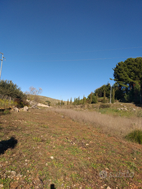 Terreno agricolo/pascolo