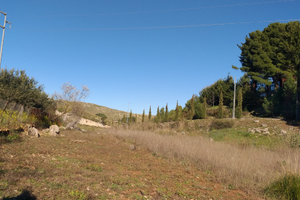 Terreno agricolo/pascolo