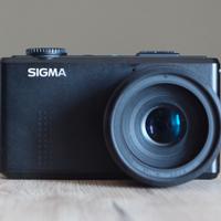 SIGMA DP3 Merrill