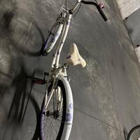 Bicicletta da passeggio