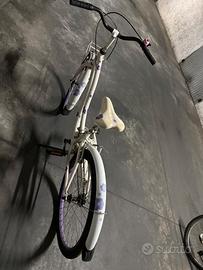 Bicicletta da passeggio