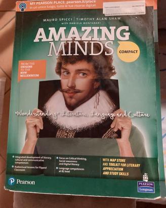 AMAZING MINDS