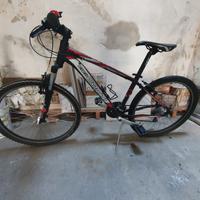 bicicletta  montain  bike 26