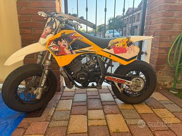 Minimotard lem morini