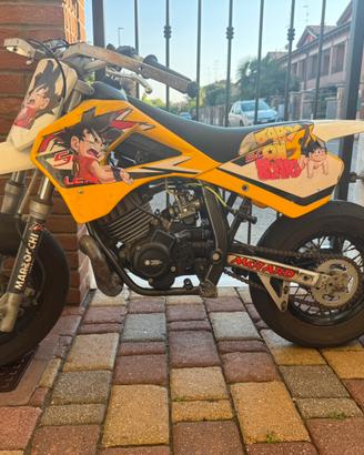 Minimotard lem morini