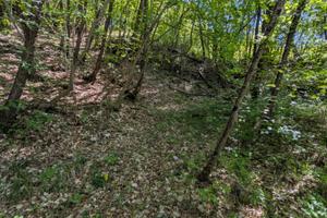 Terreno con bosco sul fiume