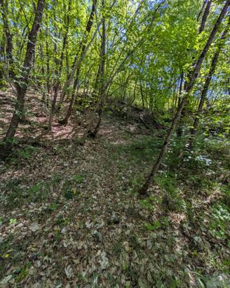 Terreno con bosco sul fiume