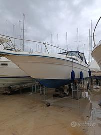 Sea ray 290