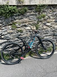 Marin Rift Zone 1