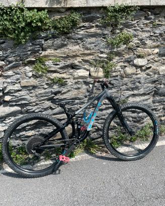 Marin Rift Zone 1