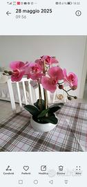 pianta artificiale di orchidea 