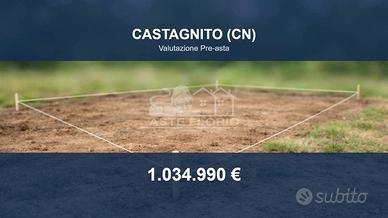 Immobile in asta di 56472 m² a Castagnito