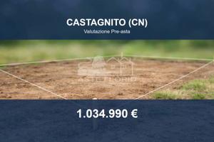 Immobile in asta di 56472 m² a Castagnito