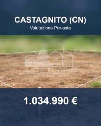 Immobile in asta di 56472 m² a Castagnito