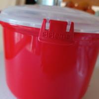 sistema microwave