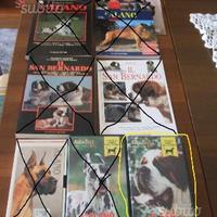 Enciclopedia del cane e vhs su s.bernardo