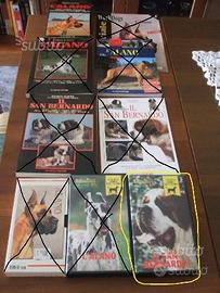 Enciclopedia del cane e vhs su s.bernardo