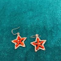 Orecchini argento e corallo