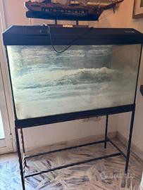 Acquario per pesci per interno