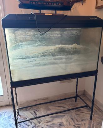 Acquario per pesci per interno