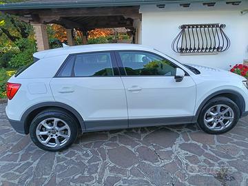 Audi Q2 1.6 diesel business