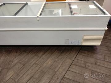 Vasca surgelati framec negozio