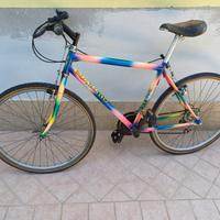 Mountain Bike      seminuova
