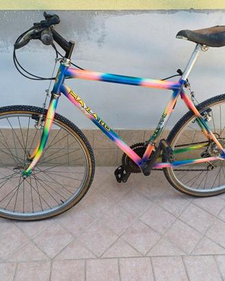 Mountain Bike      seminuova