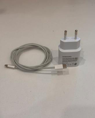 Caricatore rapido samsung TA800 25w + cavo