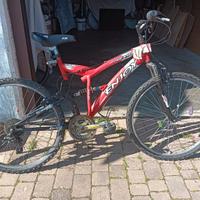 mountain bike da donna