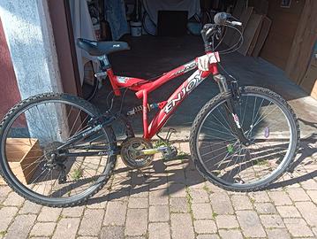 mountain bike da donna