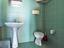 Immagine 11