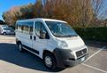 Fiat ducato 9 posti
