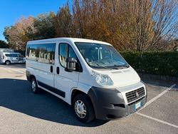 Fiat ducato 9 posti