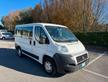 Fiat ducato 9 posti