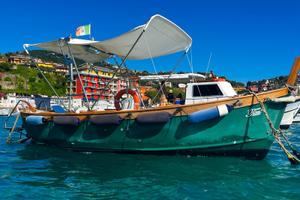 Barca gozzo Schiaffino