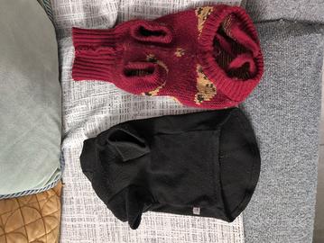 Accessori Gatto (Vestiti+gioco)