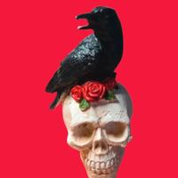 Teschio con corvo nero. Nuovo!